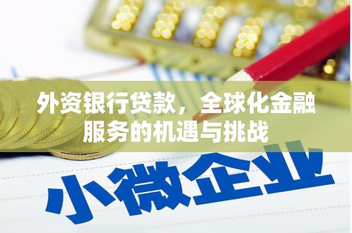 乌伊岭外资银行贷款，全球化金融服务的机遇与挑战