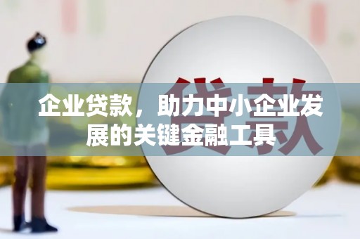乌伊岭企业贷款，助力中小企业发展的关键金融工具