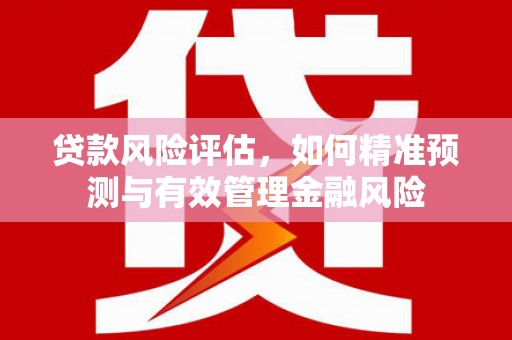 乌伊岭贷款风险评估，如何精准预测与有效管理金融风险