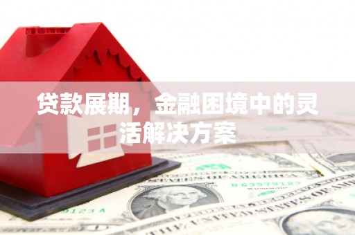 乌伊岭贷款展期，金融困境中的灵活解决方案
