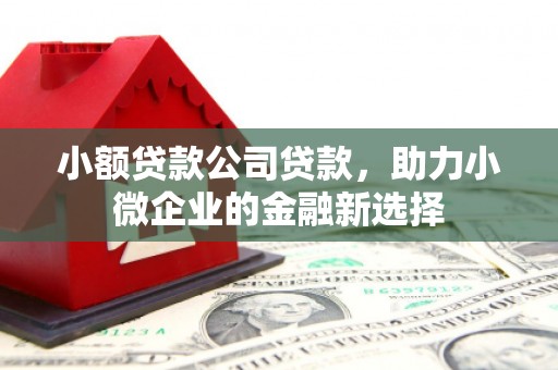 乌伊岭小额贷款公司贷款，助力小微企业的金融新选择