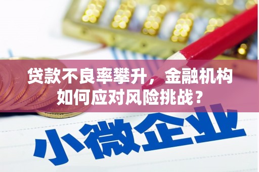 乌伊岭贷款不良率攀升，金融机构如何应对风险挑战？