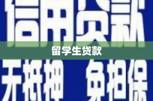 乌伊岭留学生贷款