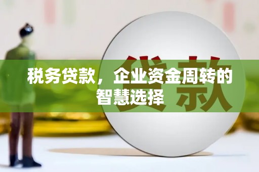 乌伊岭税务贷款，企业资金周转的智慧选择