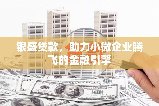 乌伊岭银盛贷款，助力小微企业腾飞的金融引擎