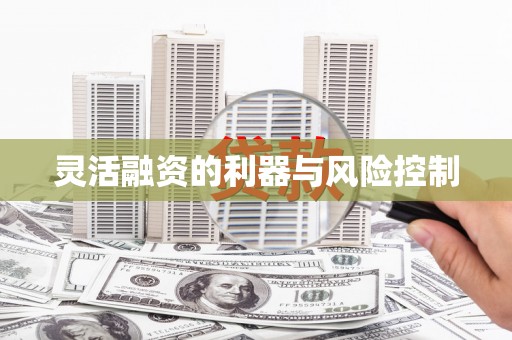 乌伊岭灵活融资的利器与风险控制