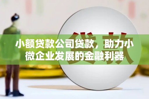乌伊岭小额贷款公司贷款，助力小微企业发展的金融利器