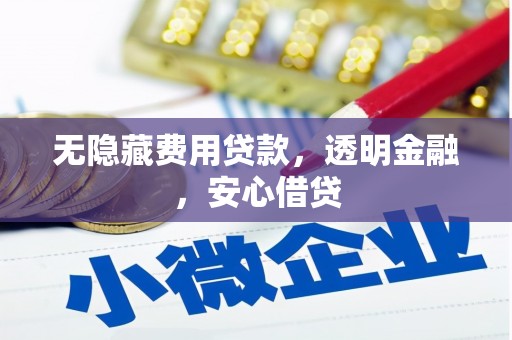 乌伊岭无隐藏费用贷款，透明金融，安心借贷