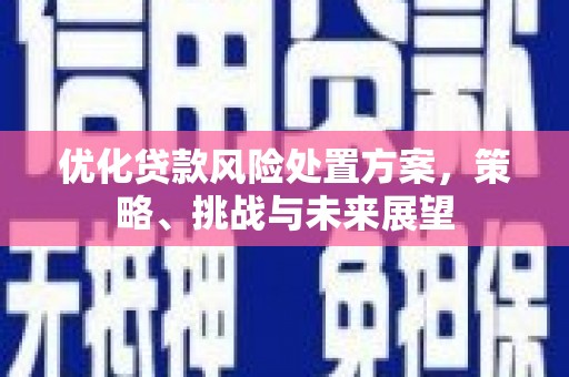 乌伊岭优化贷款风险处置方案，策略、挑战与未来展望