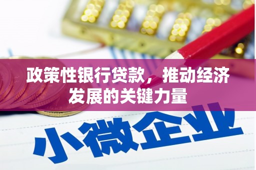 乌伊岭政策性银行贷款，推动经济发展的关键力量