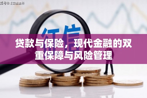 乌伊岭贷款与保险，现代金融的双重保障与风险管理