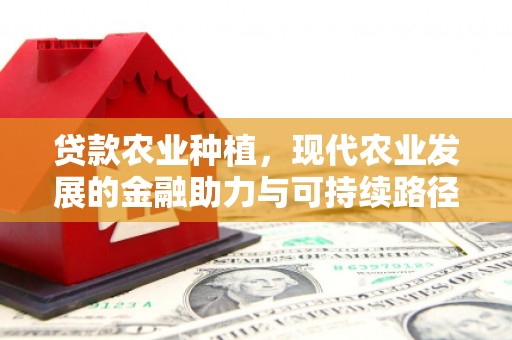乌伊岭贷款农业种植，现代农业发展的金融助力与可持续路径