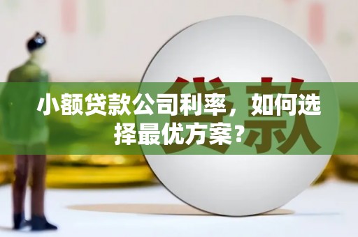 乌伊岭小额贷款公司利率，如何选择最优方案？