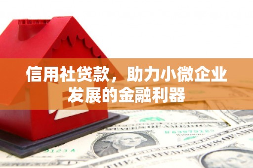 乌伊岭信用社贷款，助力小微企业发展的金融利器