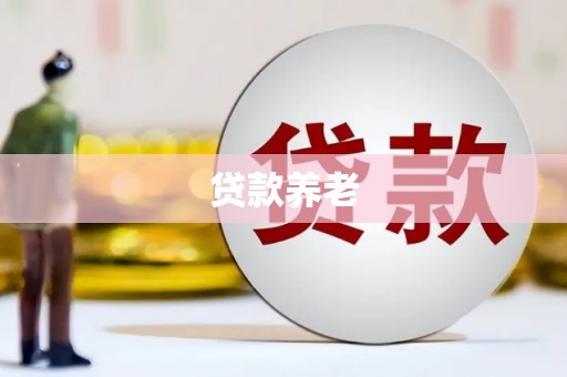 乌伊岭贷款养老