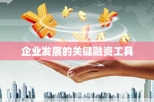 乌伊岭企业发展的关键融资工具