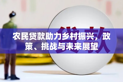 乌伊岭农民贷款助力乡村振兴，政策、挑战与未来展望