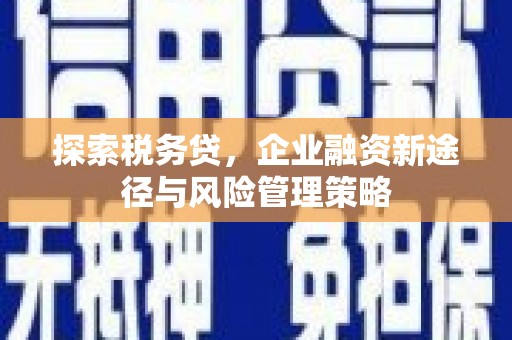乌伊岭探索税务贷，企业融资新途径与风险管理策略