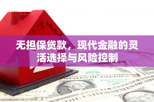 乌伊岭无担保贷款，现代金融的灵活选择与风险控制