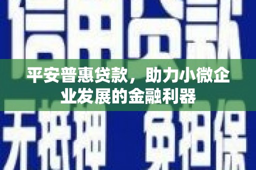 乌伊岭平安普惠贷款，助力小微企业发展的金融利器