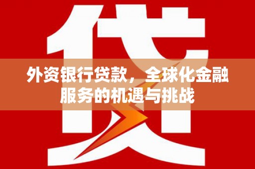 乌伊岭外资银行贷款，全球化金融服务的机遇与挑战