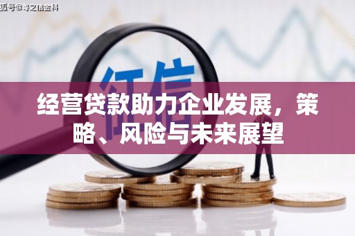乌伊岭经营贷款助力企业发展，策略、风险与未来展望