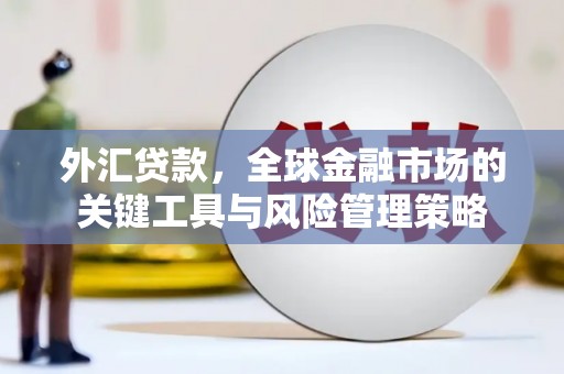 乌伊岭外汇贷款，全球金融市场的关键工具与风险管理策略