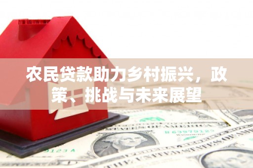 乌伊岭农民贷款助力乡村振兴，政策、挑战与未来展望