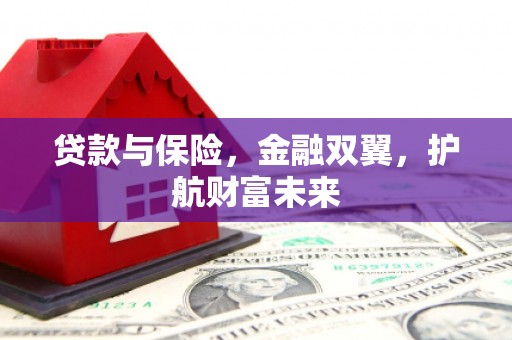 乌伊岭贷款与保险，金融双翼，护航财富未来