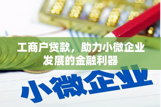 乌伊岭工商户贷款，助力小微企业发展的金融利器
