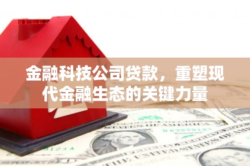 乌伊岭金融科技公司贷款，重塑现代金融生态的关键力量