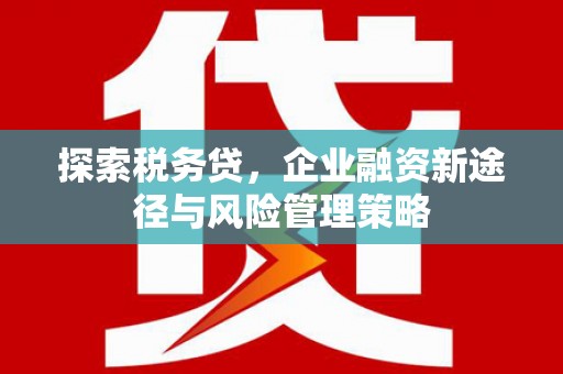 乌伊岭探索税务贷，企业融资新途径与风险管理策略