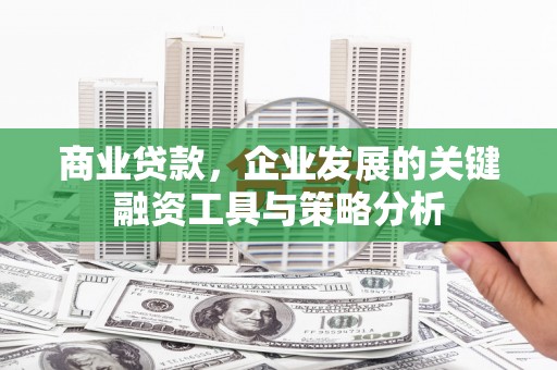 乌伊岭商业贷款，企业发展的关键融资工具与策略分析