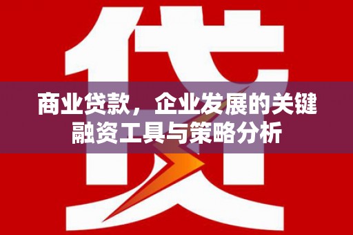 乌伊岭商业贷款，企业发展的关键融资工具与策略分析