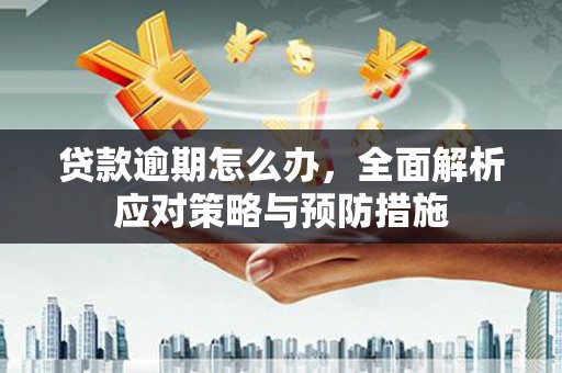 乌伊岭贷款逾期怎么办，全面解析应对策略与预防措施