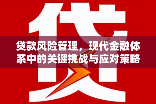 乌伊岭贷款风险管理，现代金融体系中的关键挑战与应对策略