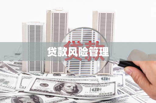 乌伊岭贷款风险管理