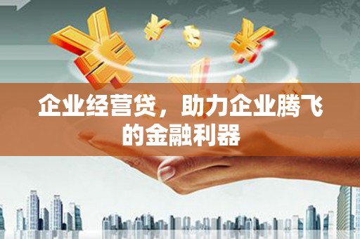 乌伊岭企业经营贷，助力企业腾飞的金融利器