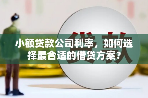 乌伊岭小额贷款公司利率，如何选择最合适的借贷方案？