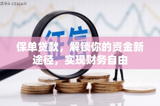 乌伊岭保单贷款，解锁你的资金新途径，实现财务自由