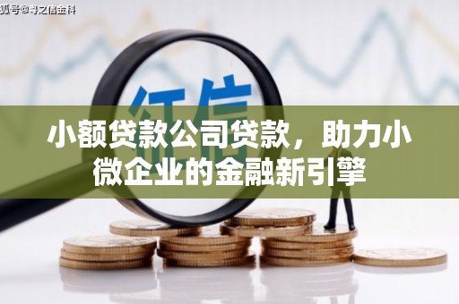 乌伊岭小额贷款公司贷款，助力小微企业的金融新引擎
