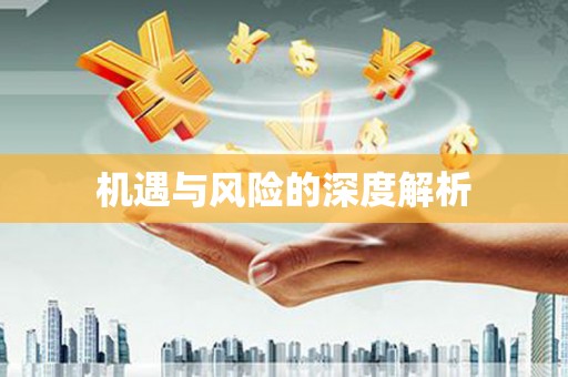 乌伊岭机遇与风险的深度解析