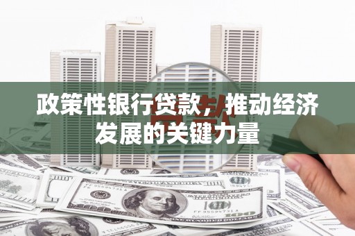 乌伊岭政策性银行贷款，推动经济发展的关键力量