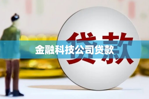 乌伊岭金融科技公司贷款