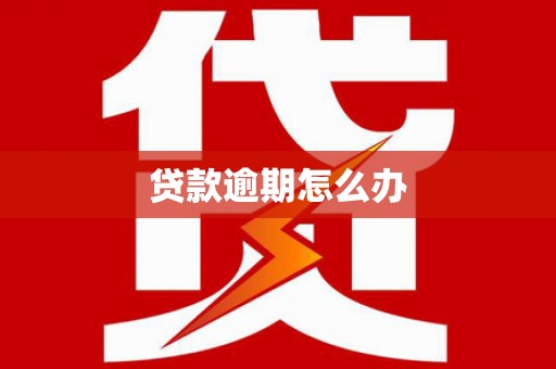 乌伊岭贷款逾期怎么办