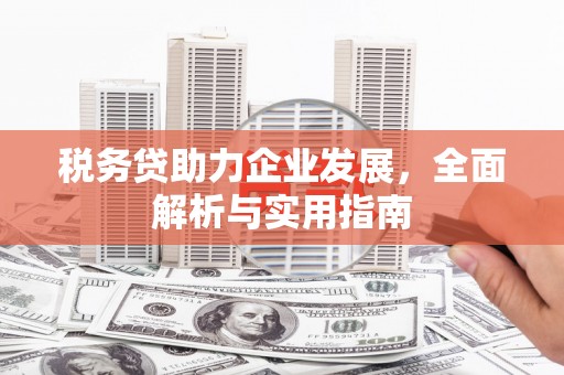 乌伊岭税务贷助力企业发展，全面解析与实用指南