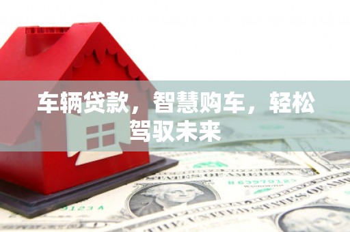 乌伊岭车辆贷款，智慧购车，轻松驾驭未来