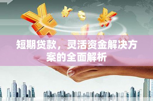乌伊岭短期贷款，灵活资金解决方案的全面解析