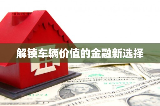 乌伊岭解锁车辆价值的金融新选择