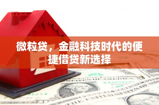 乌伊岭微粒贷，金融科技时代的便捷借贷新选择